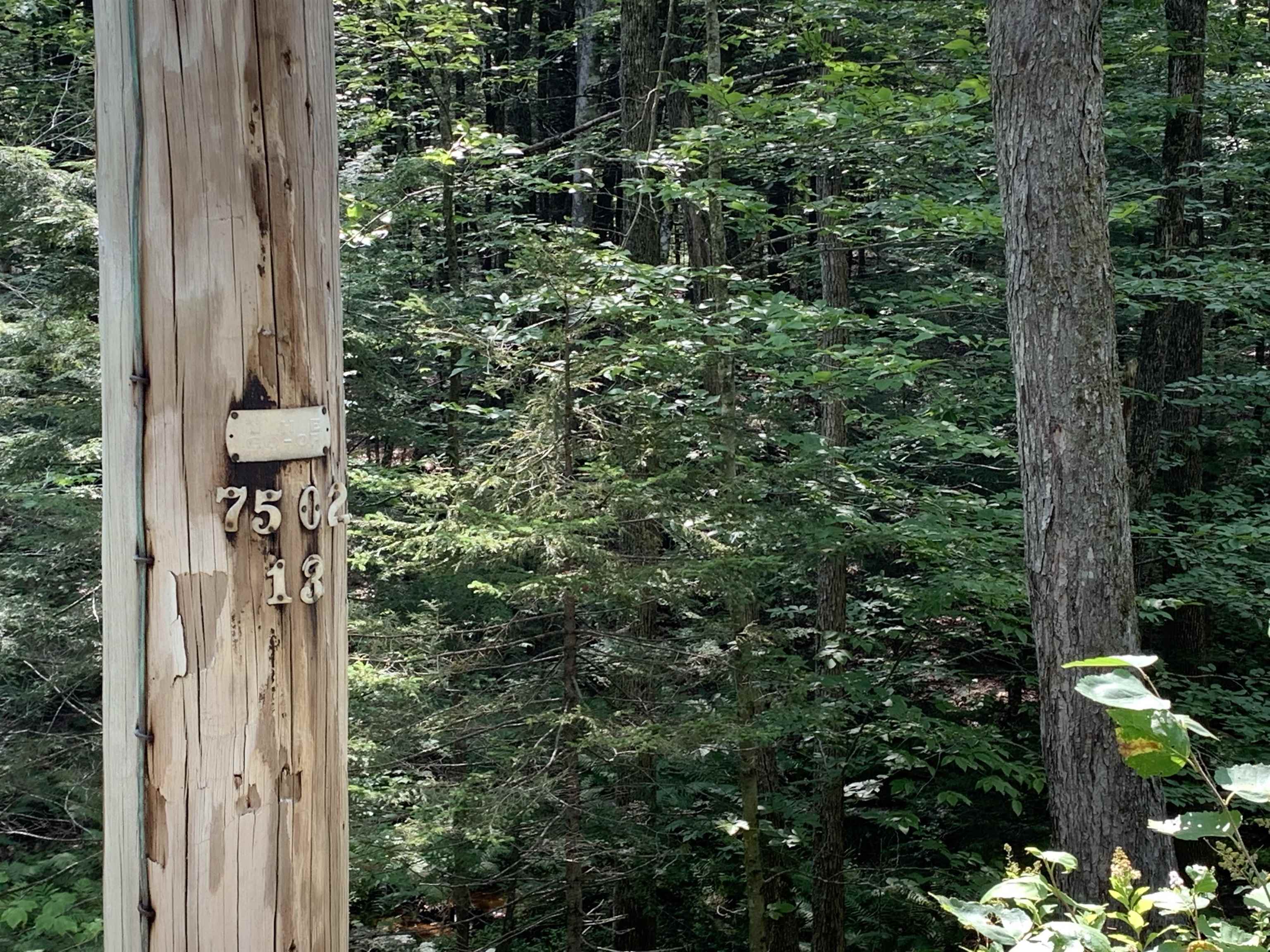 0 Halls Brook Road, Unit 29 Rumney, NH 03266 - Photo 5 of 5