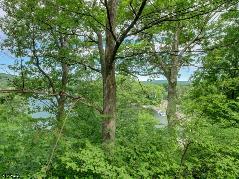 33 Cliffside Trail Denville, NJ 07834 - Photo 13 of 25 a view of a lush green forest
