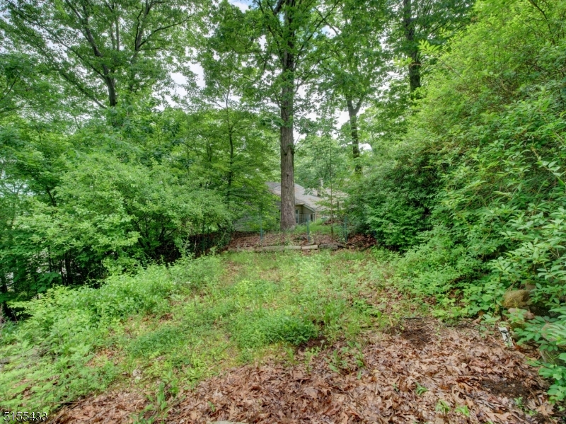 33 Cliffside Trail Denville, NJ 07834 - Photo 24 of 25 a view of a lush green forest