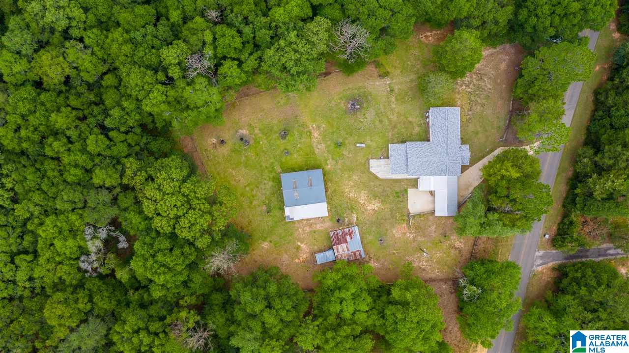 11249 Rockhole Bridge Road Florala, AL 36442 - Photo 4 of 41