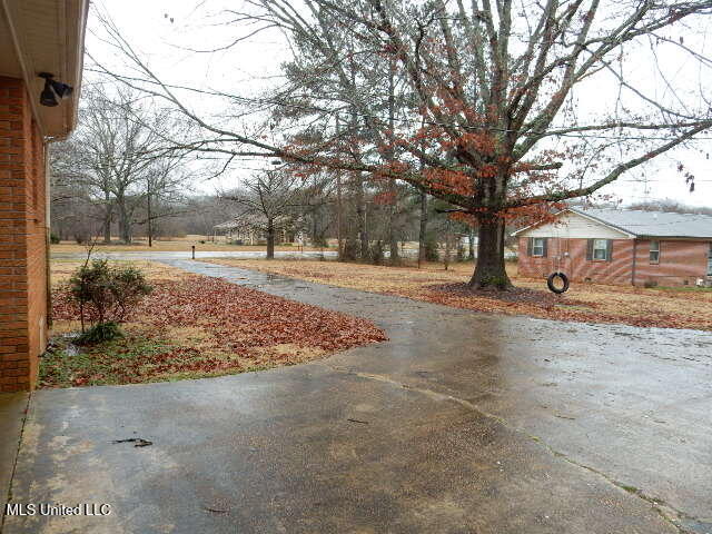 1741 Highway 178 Myrtle, MS 38650 - Photo 49 of 50 DSCN0766