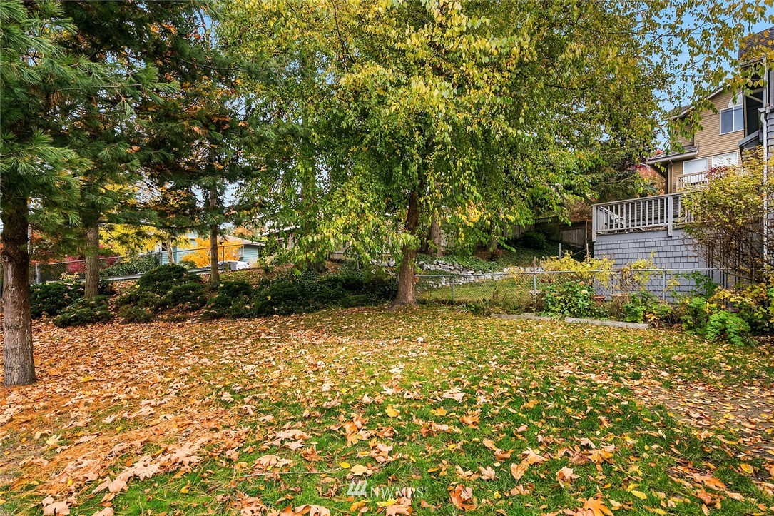 4216 Southwest Myrtle Street Seattle, WA 98136 - Photo 19 of 21 a view of backyard with tree