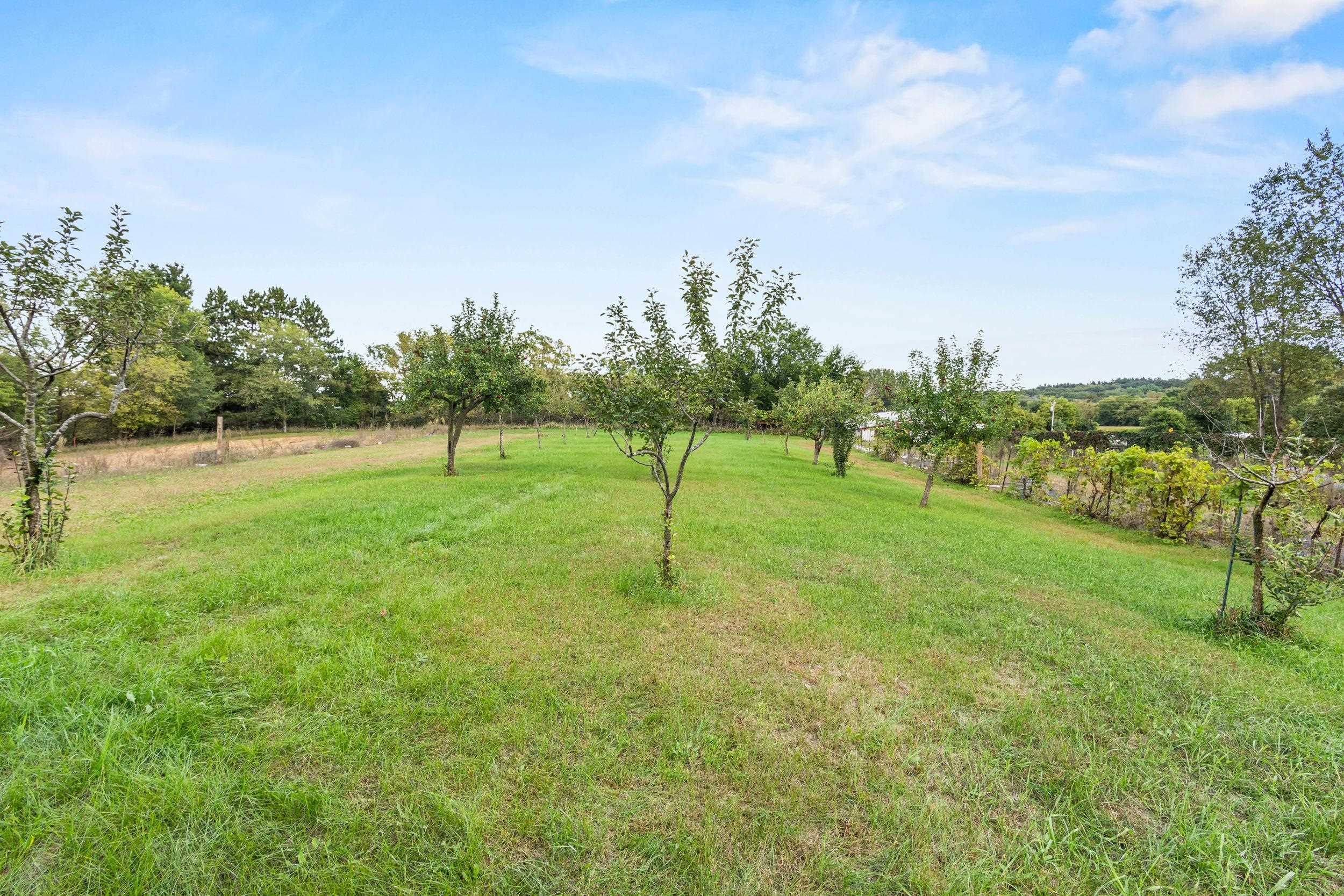 N9529 Monthey Road Pardeeville, WI 53954 - Photo 76 of 90 Gallery Image 76