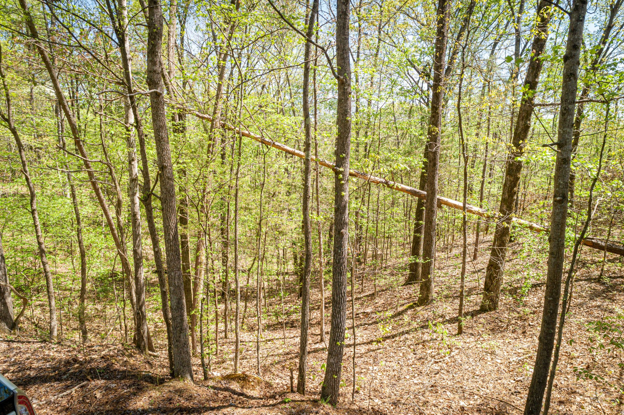 0 Fawn Ridge Road Parsons, TN 38363 - Photo 1 of 7 walk in closet