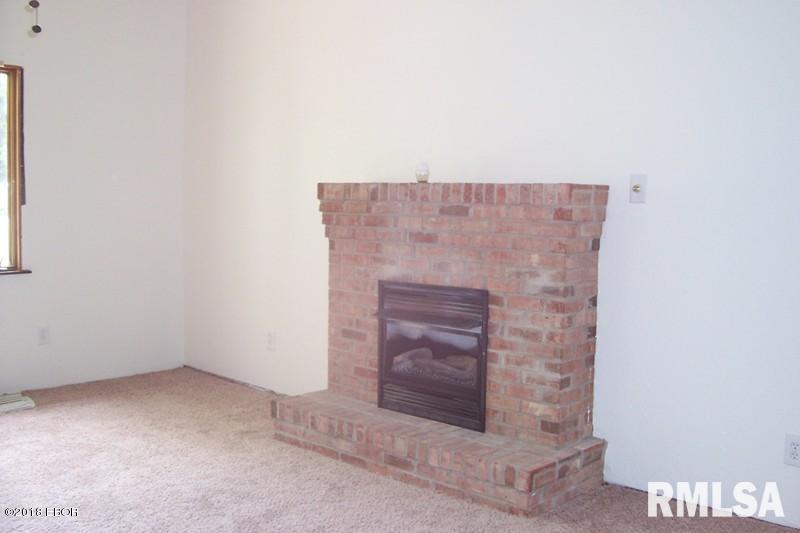 3311 Selmaville Road Salem, IL 62881 - Photo 3 of 9