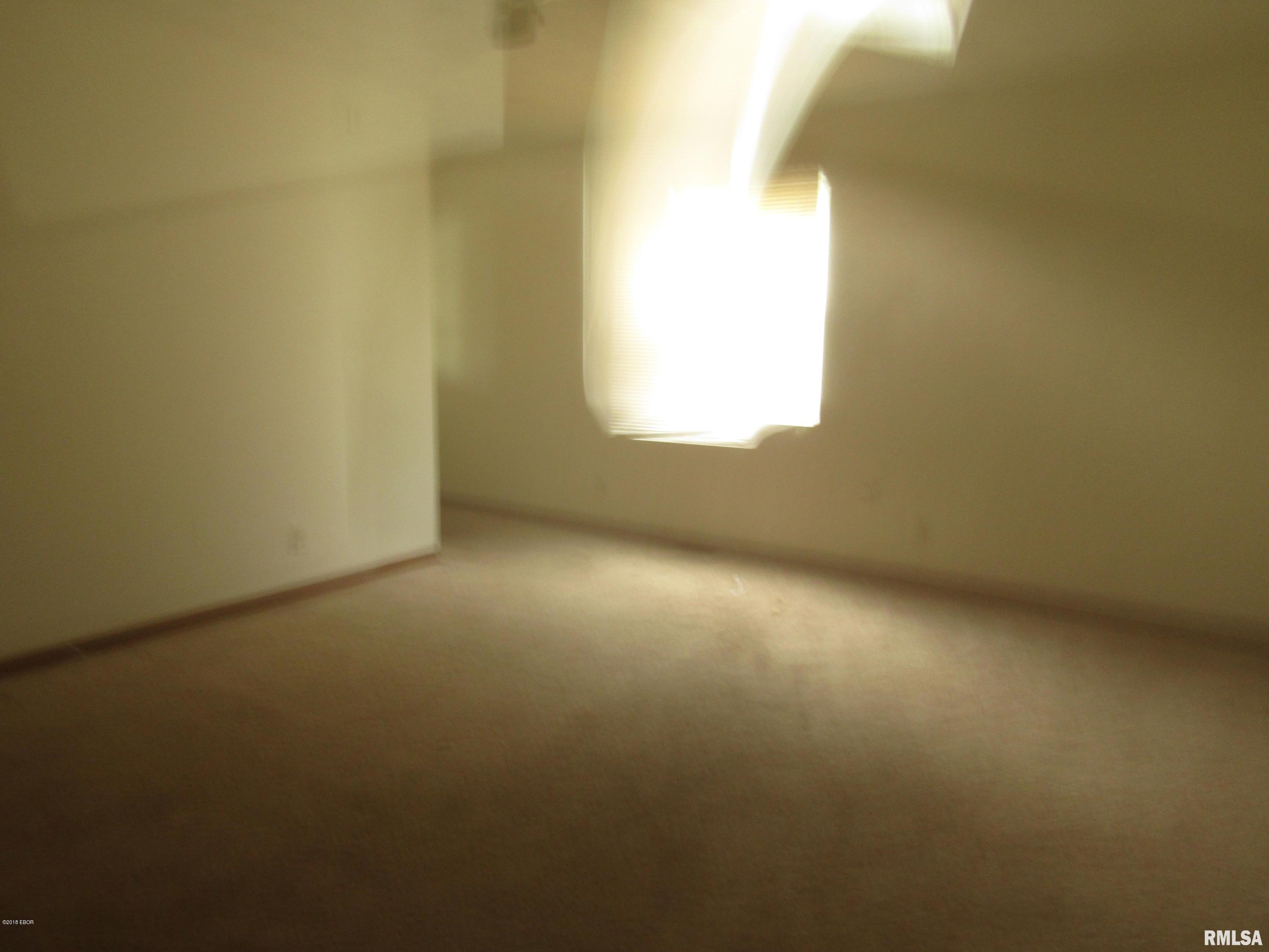 3311 Selmaville Road Salem, IL 62881 - Photo 8 of 9