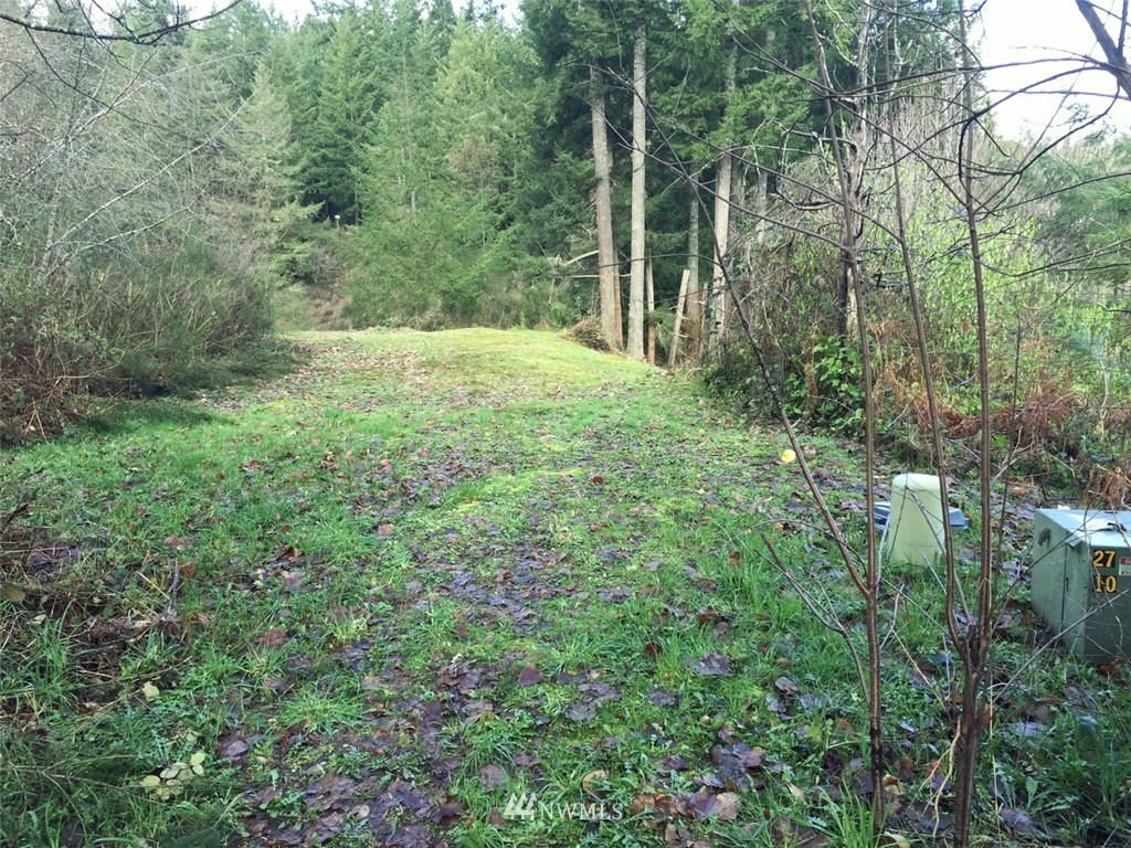81 Northeast Huffman Road Belfair, WA 98528 - Photo 5 of 7