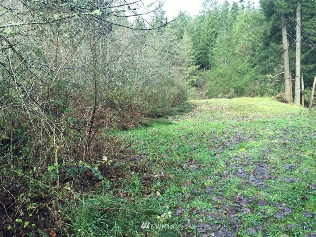 81 Northeast Huffman Road Belfair, WA 98528 - Photo 6 of 7