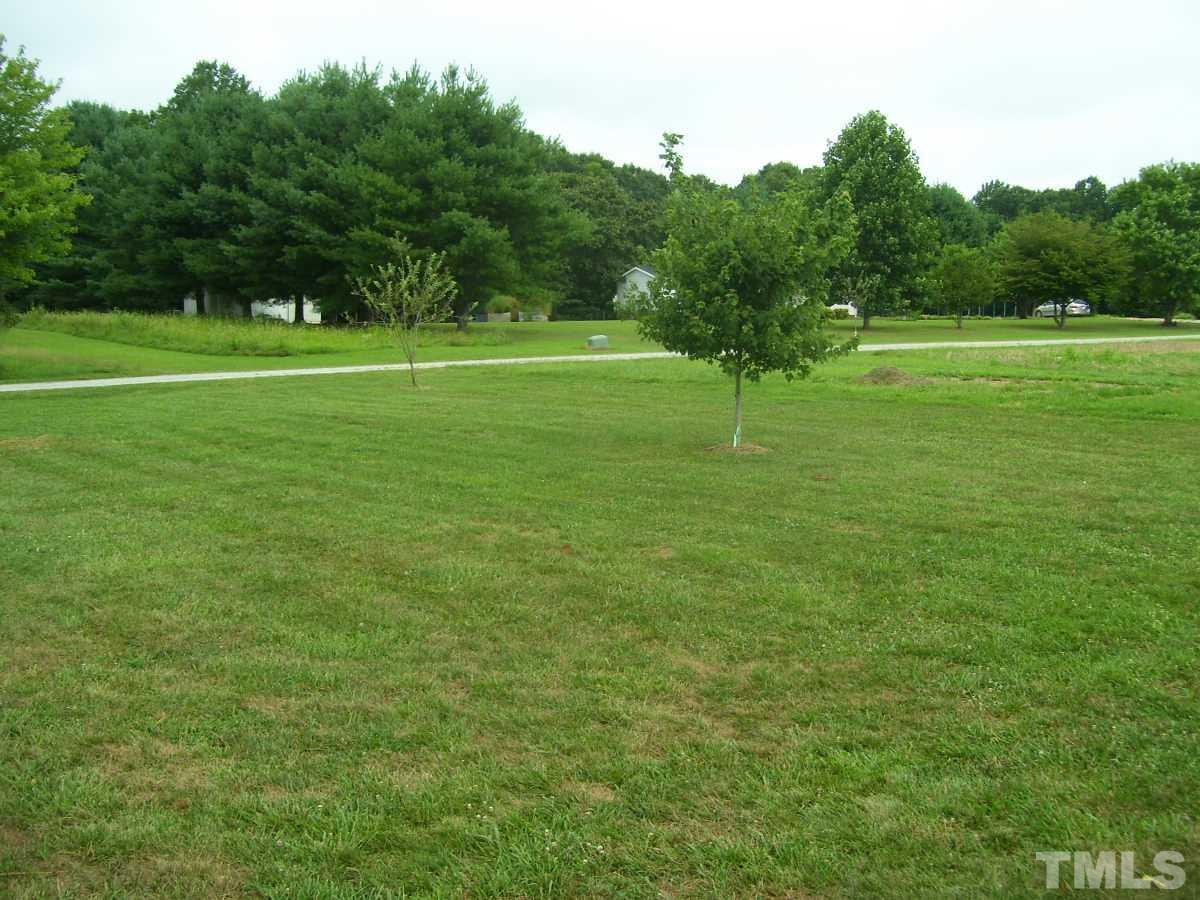249 West O Painter Road Timberlake, NC 27583 - Photo 19 of 20 a view of a grassy field with trees