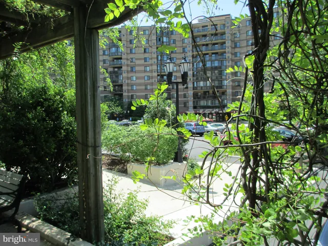 a view of a yard with trees