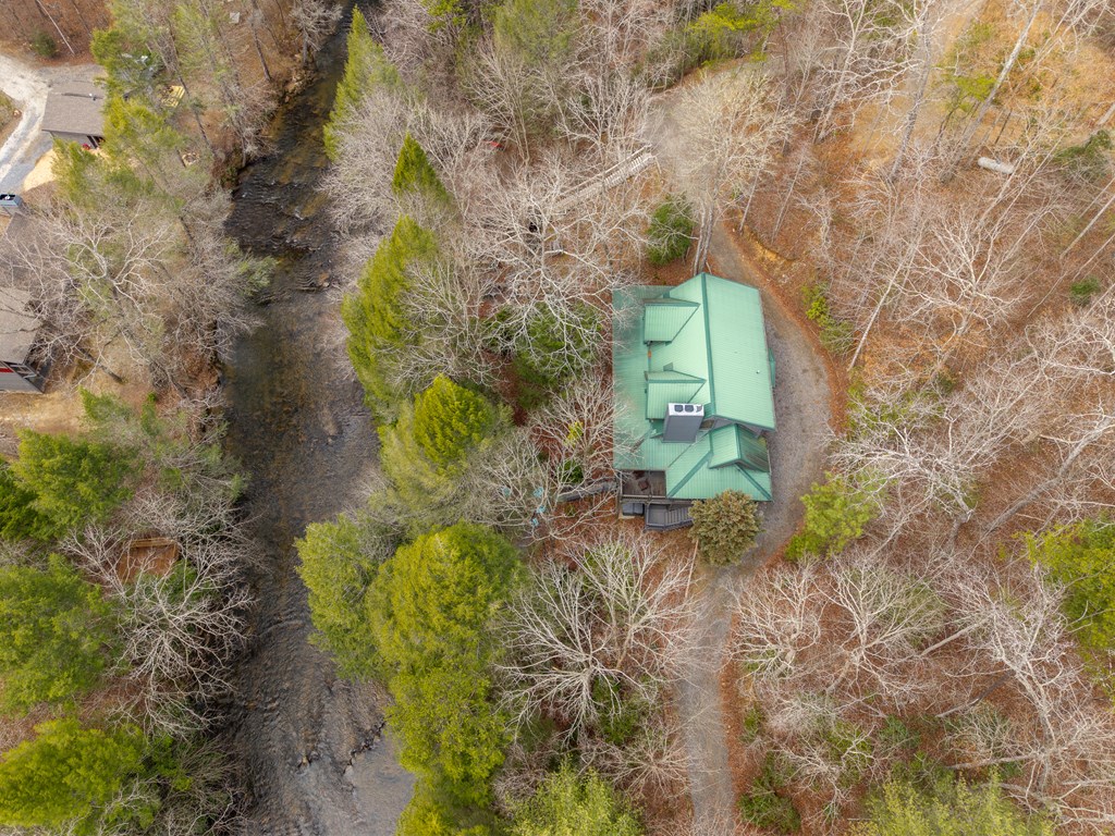 252 Branch Creek Road Blue Ridge, GA 30513 - Photo 24 of 79 Gallery Image 24