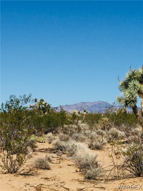 2027 Roy Rogers Road Yucca, AZ 86438 - Photo 4 of 4 Gallery Image 4