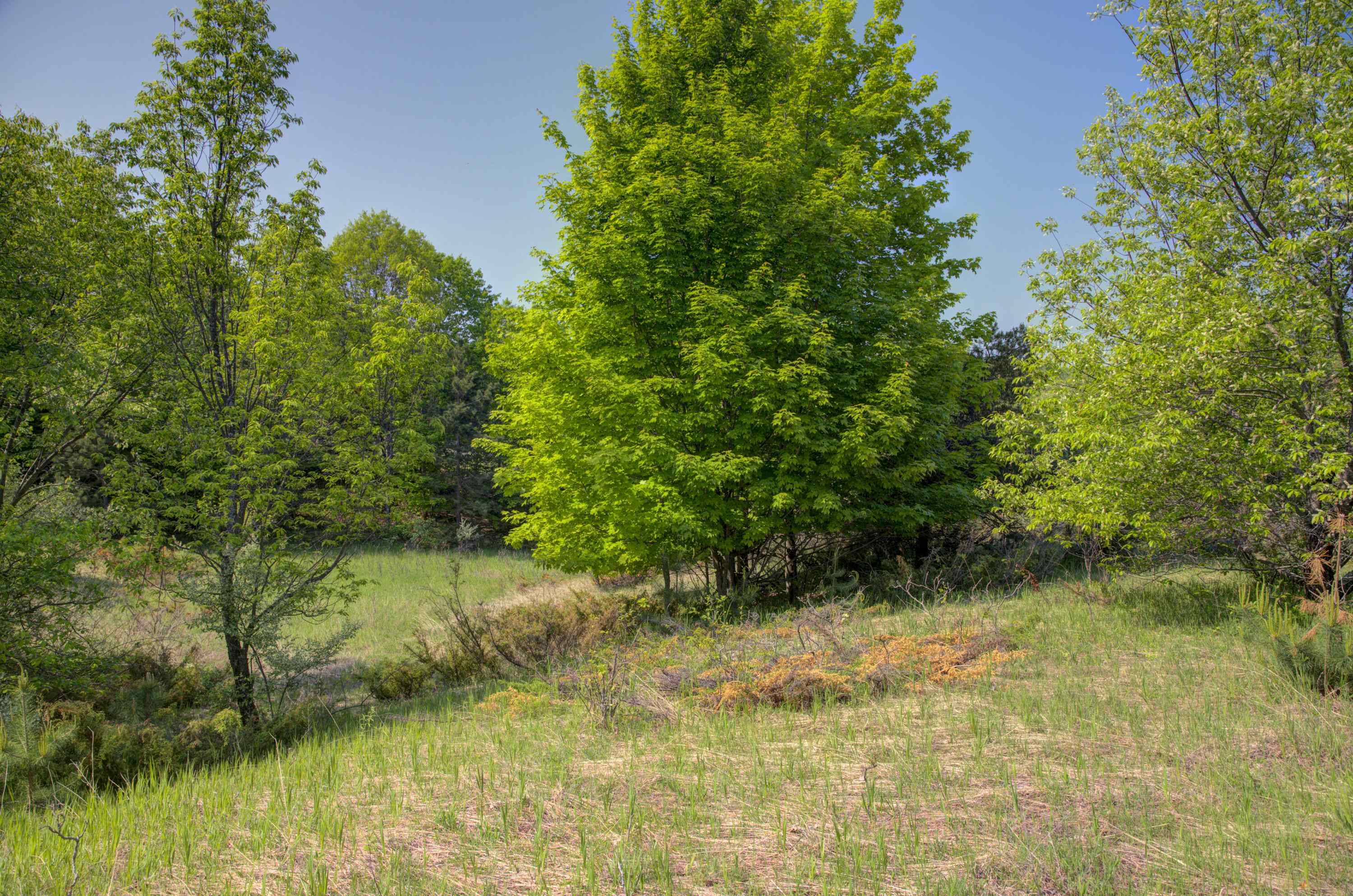 10882 Craig Road Traverse City, MI 49686 - Photo 40 of 49 Gallery Image 40