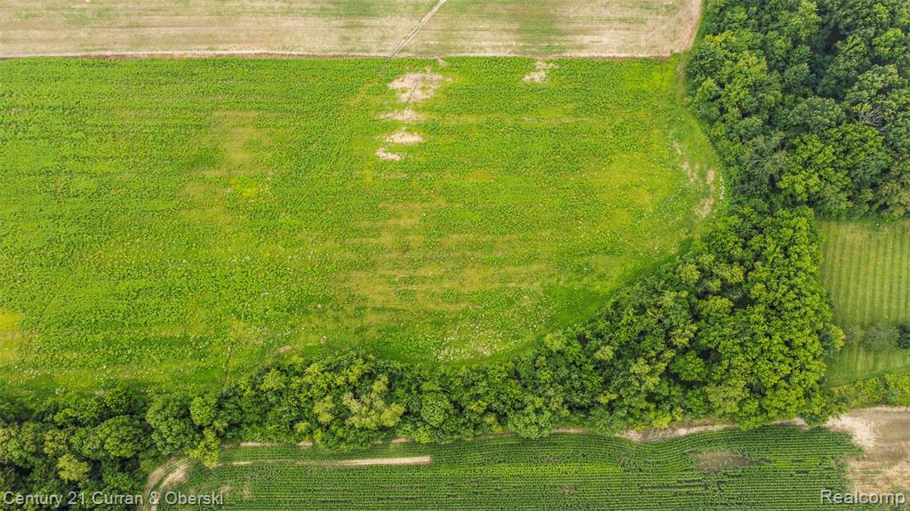 0 West Road Trenton, MI 48183 - Photo 10 of 16 Gallery Image 10