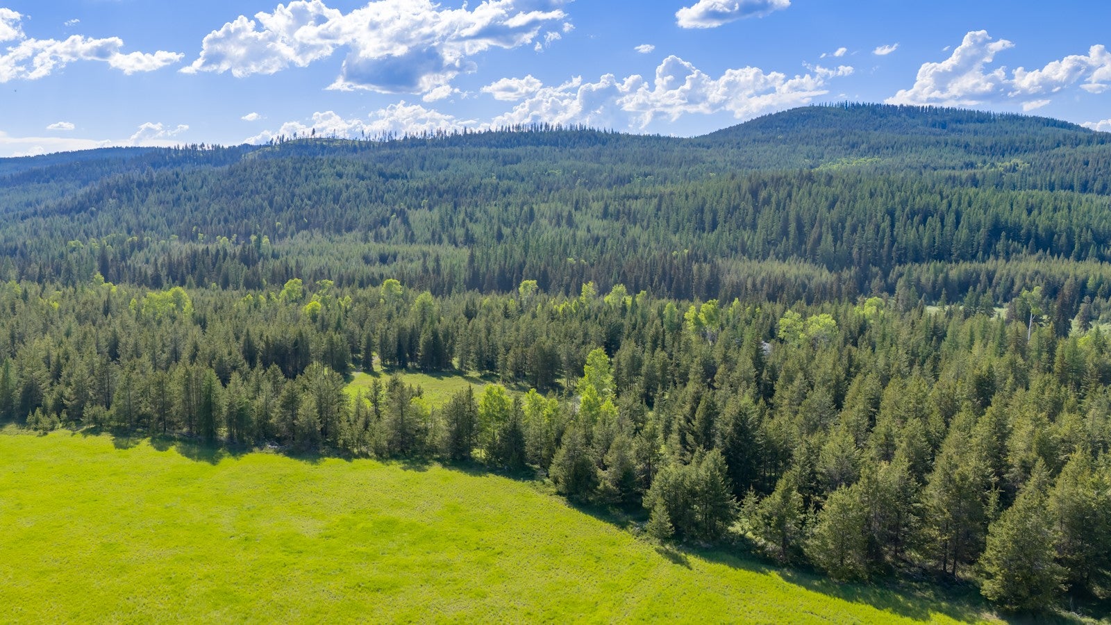 6999 Fortine Creek Road Trego, MT 59934 - Photo 29 of 32 Gallery Image 29