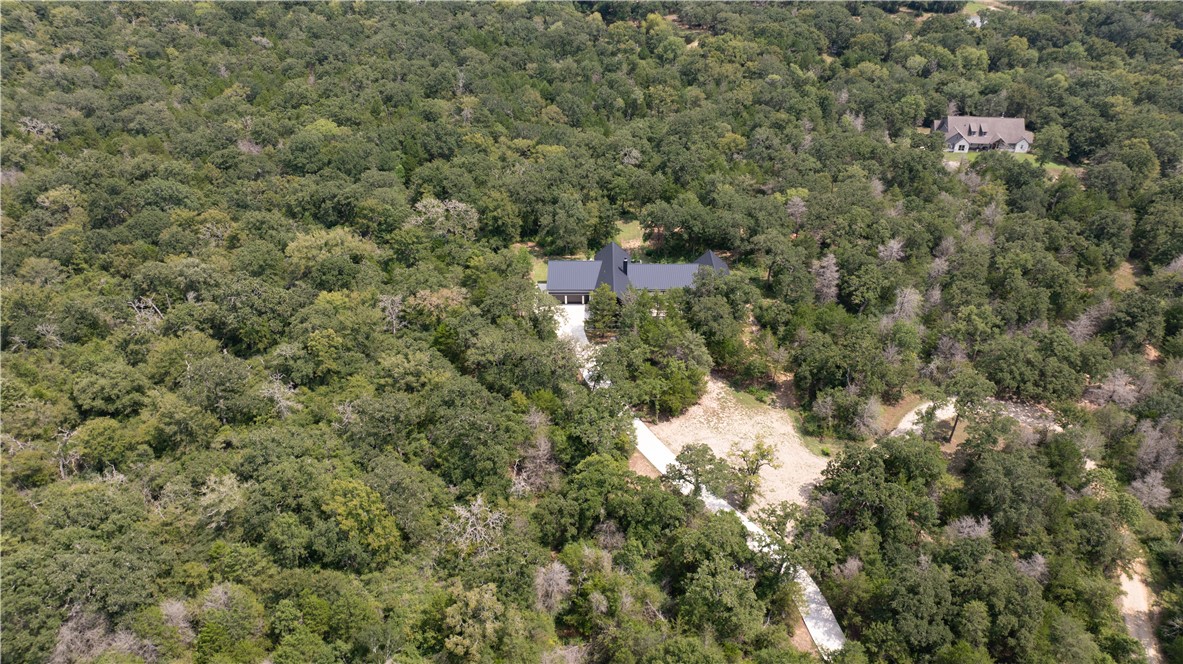 11851 Hopes Creek Road College Station, TX 77845 - Photo 48 of 50 a view of a forest with a houses