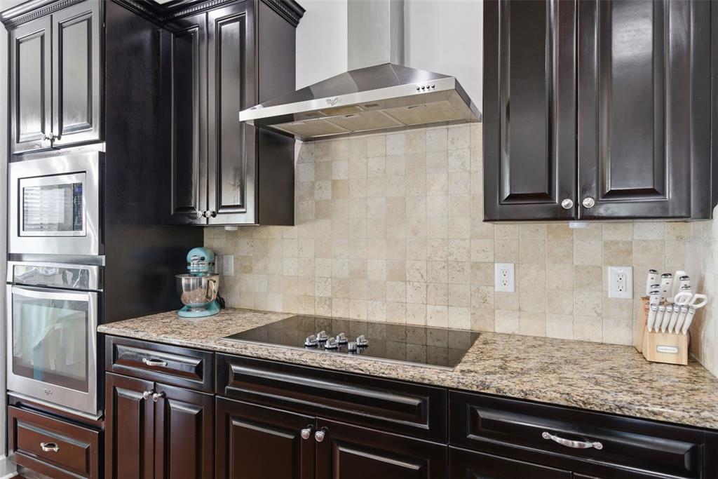 6658 Country Club Road Wesley Chapel, FL 33544 - Photo 3 of 52