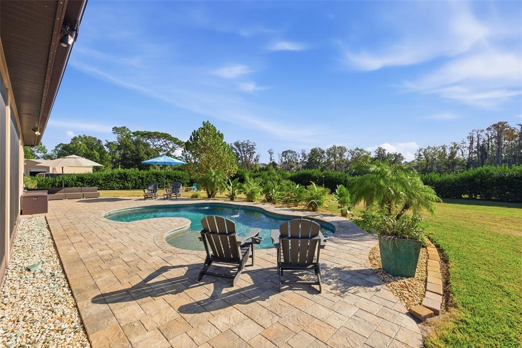 6658 Country Club Road Wesley Chapel, FL 33544 - Photo 38 of 52