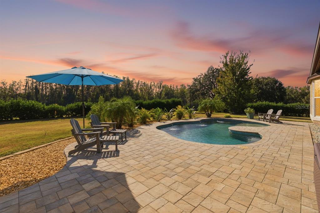 6658 Country Club Road Wesley Chapel, FL 33544 - Photo 39 of 52