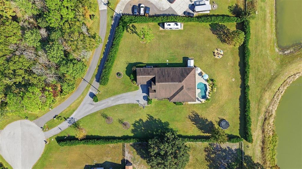 6658 Country Club Road Wesley Chapel, FL 33544 - Photo 45 of 52