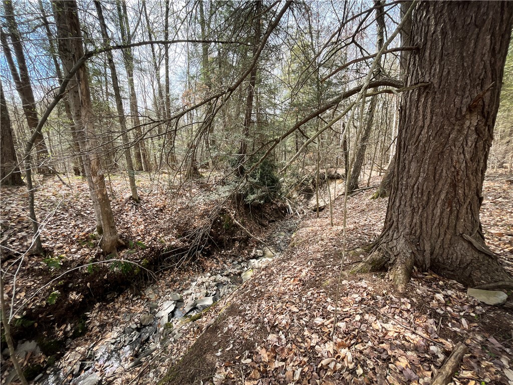 West Creek Road Richford, NY 13835 - Photo 35 of 44
