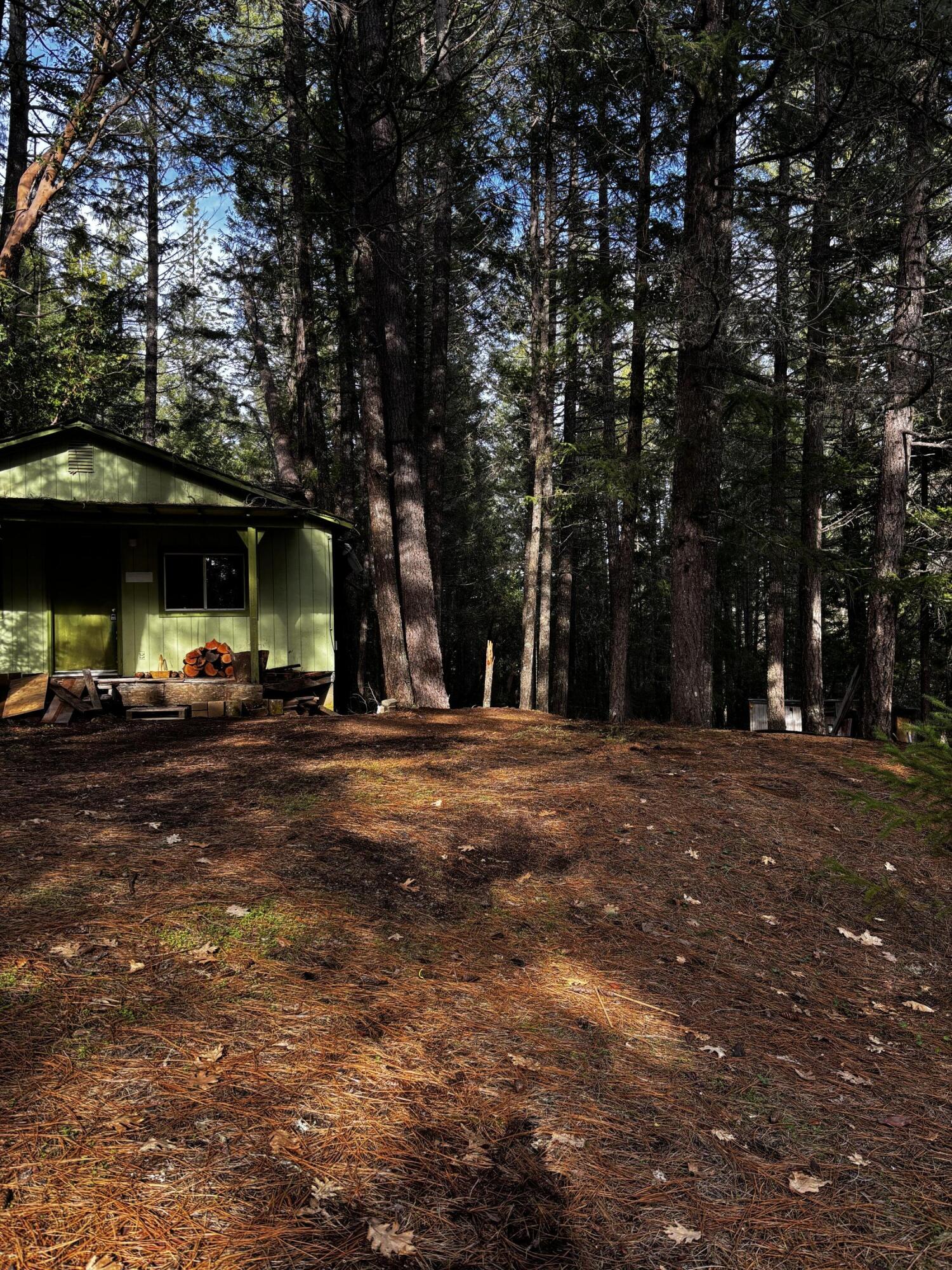 140 Draper Valley Road Selma, OR 97538 - Photo 2 of 12 IMG_8269