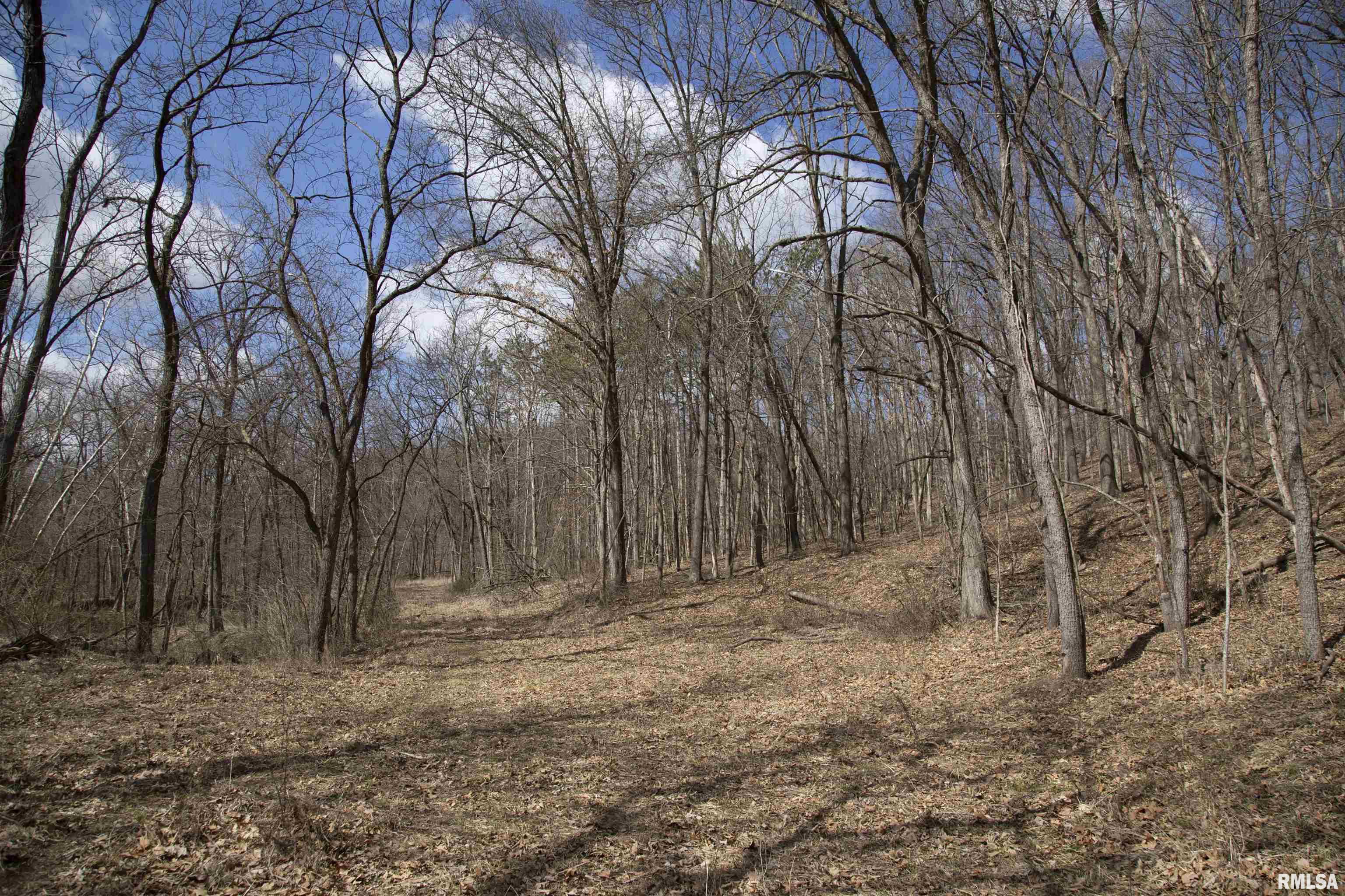 17217 North Dairy Farm Road Smithfield, IL 61477 - Photo 49 of 56 Gallery Image 49