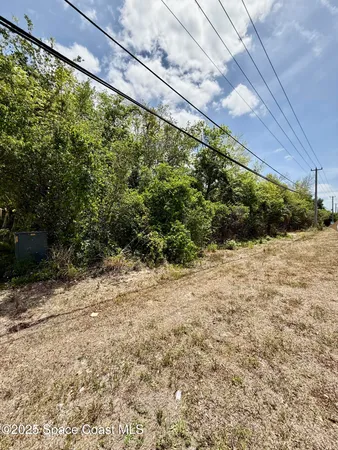 a view of a yard with plants