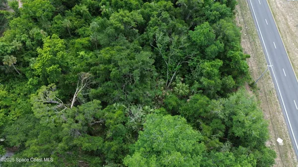 a view of a lush green forest