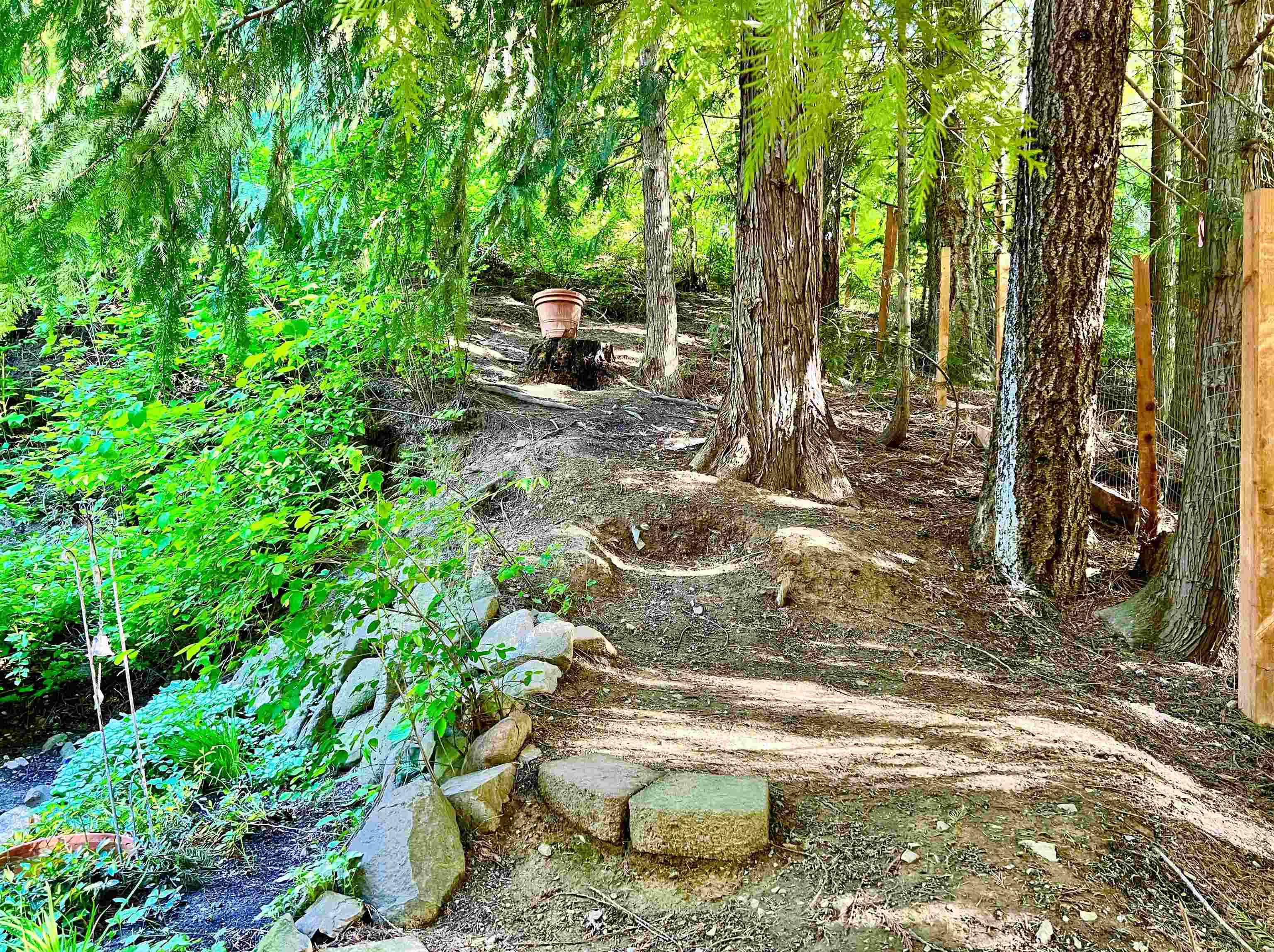 4061 Tamarack Bay Road Loon Lake, WA 99148 - Photo 39 of 50 Gallery Image 39