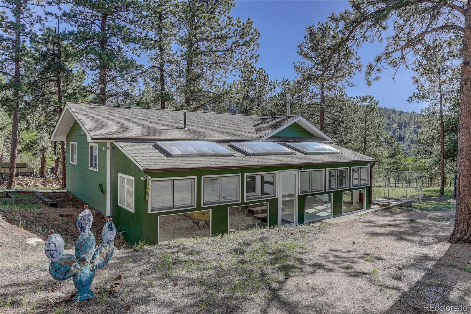 191 Anderson Road Bailey, CO 80421 - Photo 1 of 38 a view of a house with a yard and large tree