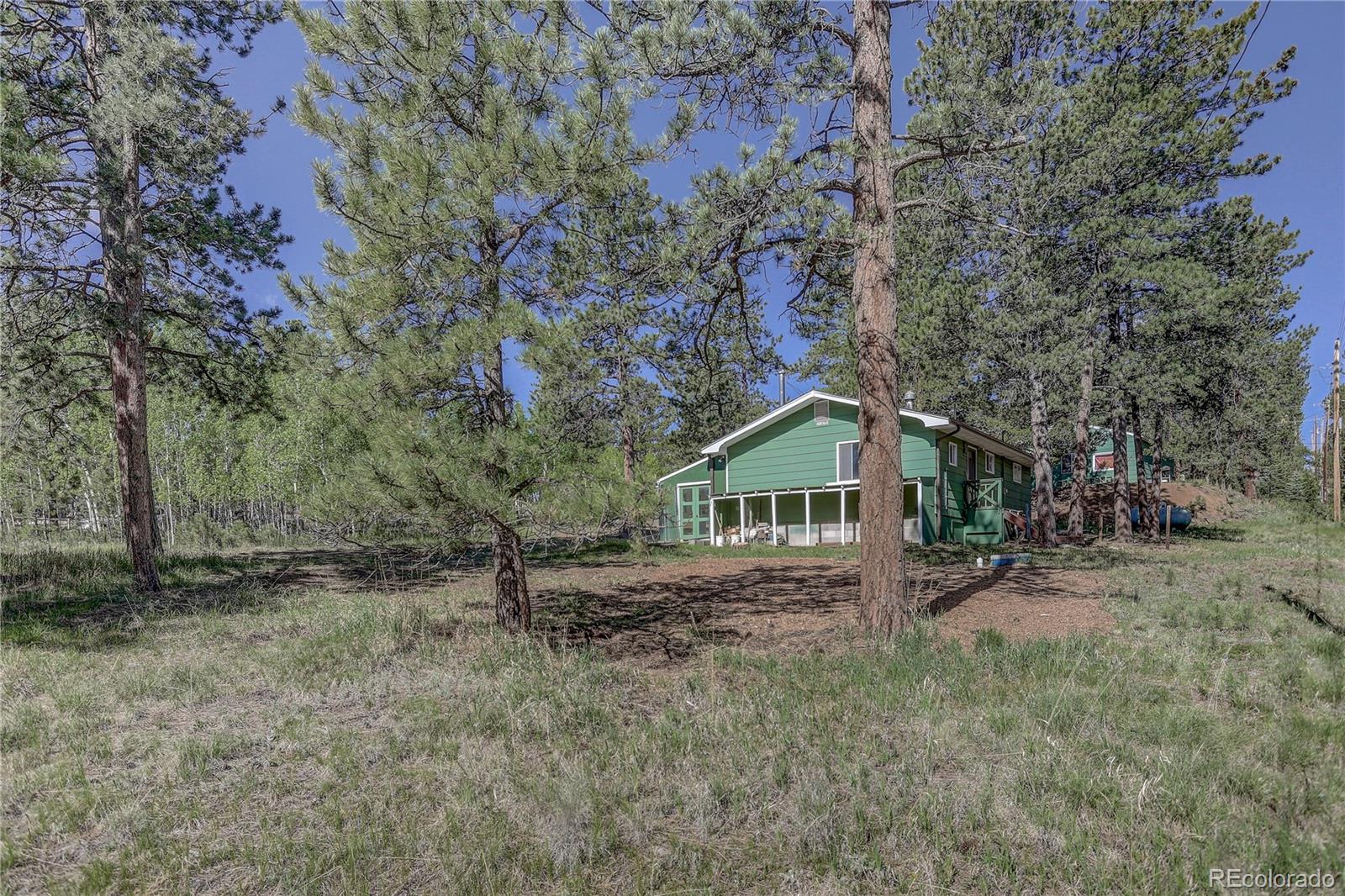 191 Anderson Road Bailey, CO 80421 - Photo 30 of 38 a front view of a house with a yard