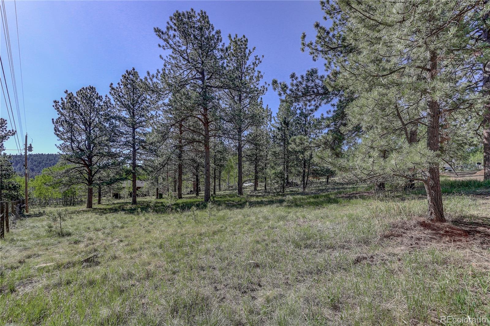 191 Anderson Road Bailey, CO 80421 - Photo 37 of 38 a view of a forest with trees in the background