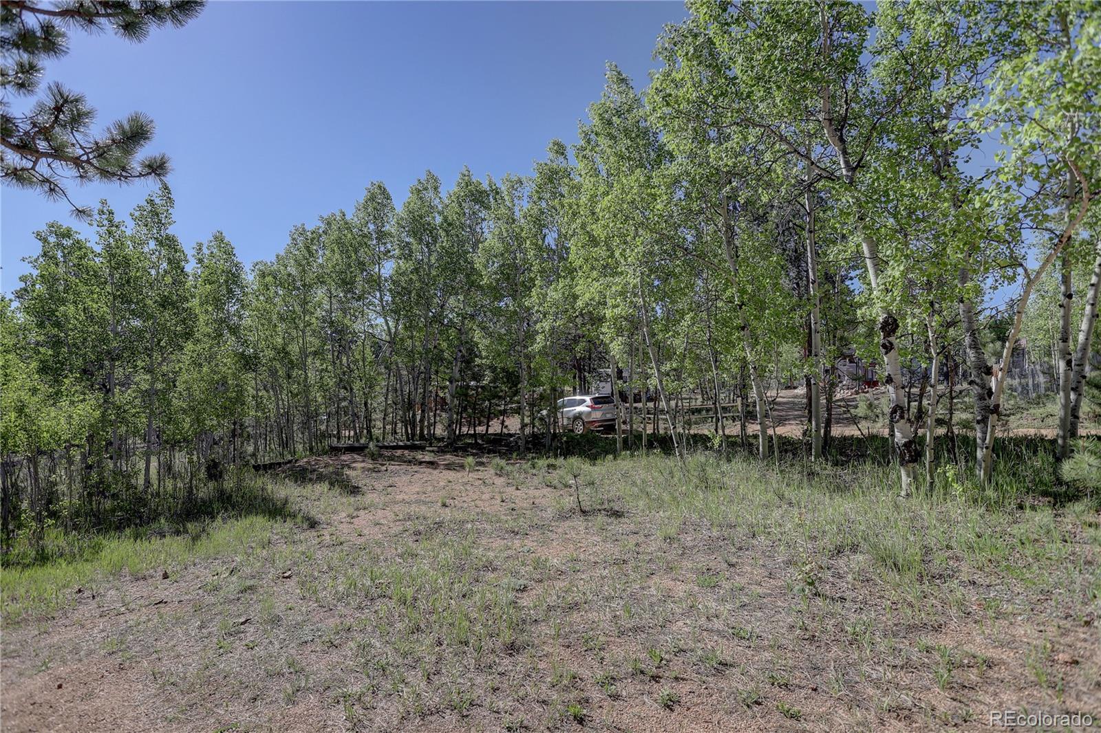 191 Anderson Road Bailey, CO 80421 - Photo 38 of 38 a backyard of a house with lots of green space