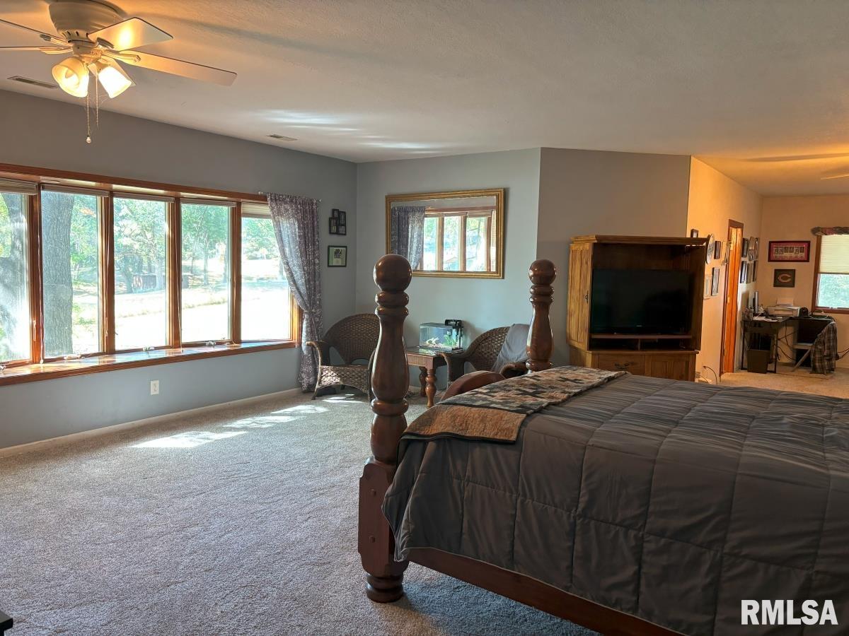 81 Island Bay Lane Springfield, IL 62712 - Photo 50 of 77