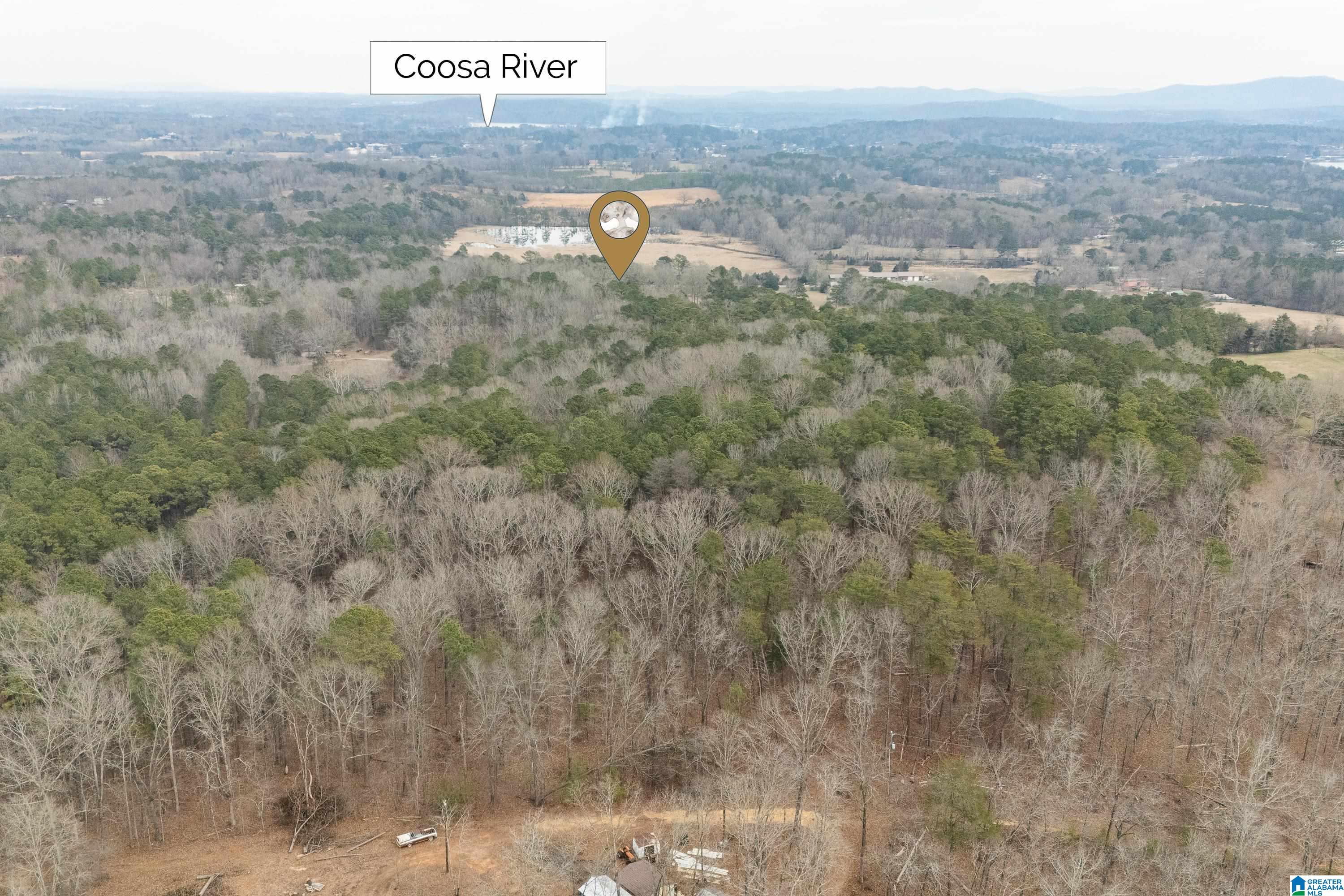 4175 Logan Martin Dam Road Cropwell, AL 35054 - Photo 40 of 47