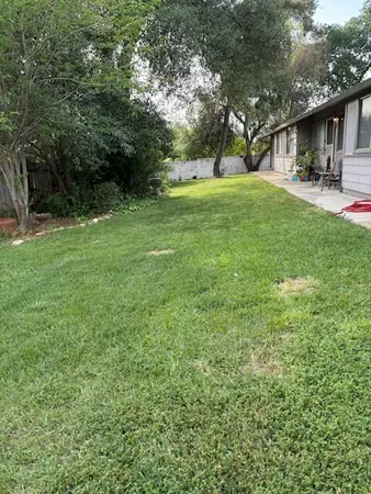 a view of a yard with plants and a barbeque
