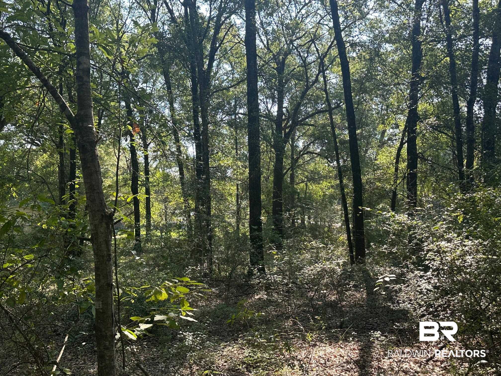 0 Danner Road East Wilmer, AL 36587 - Photo 6 of 13 View of tree filled area