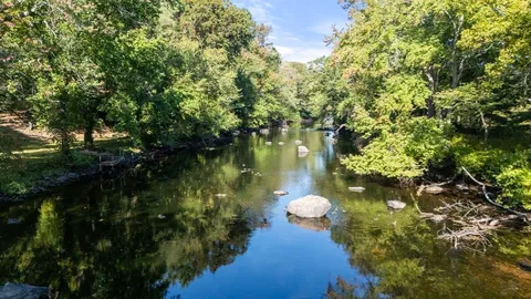 a view of a lake from a yard