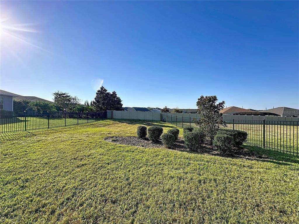 115 Silver Maple Road Groveland, FL 34736 - Photo 44 of 79 a view of a garden