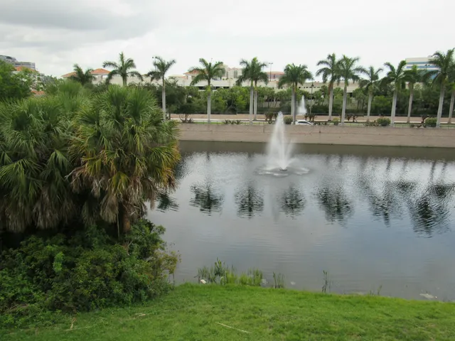 a view of a house with a swimming pool