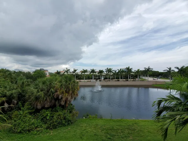 a view of a swimming pool and trees in the background