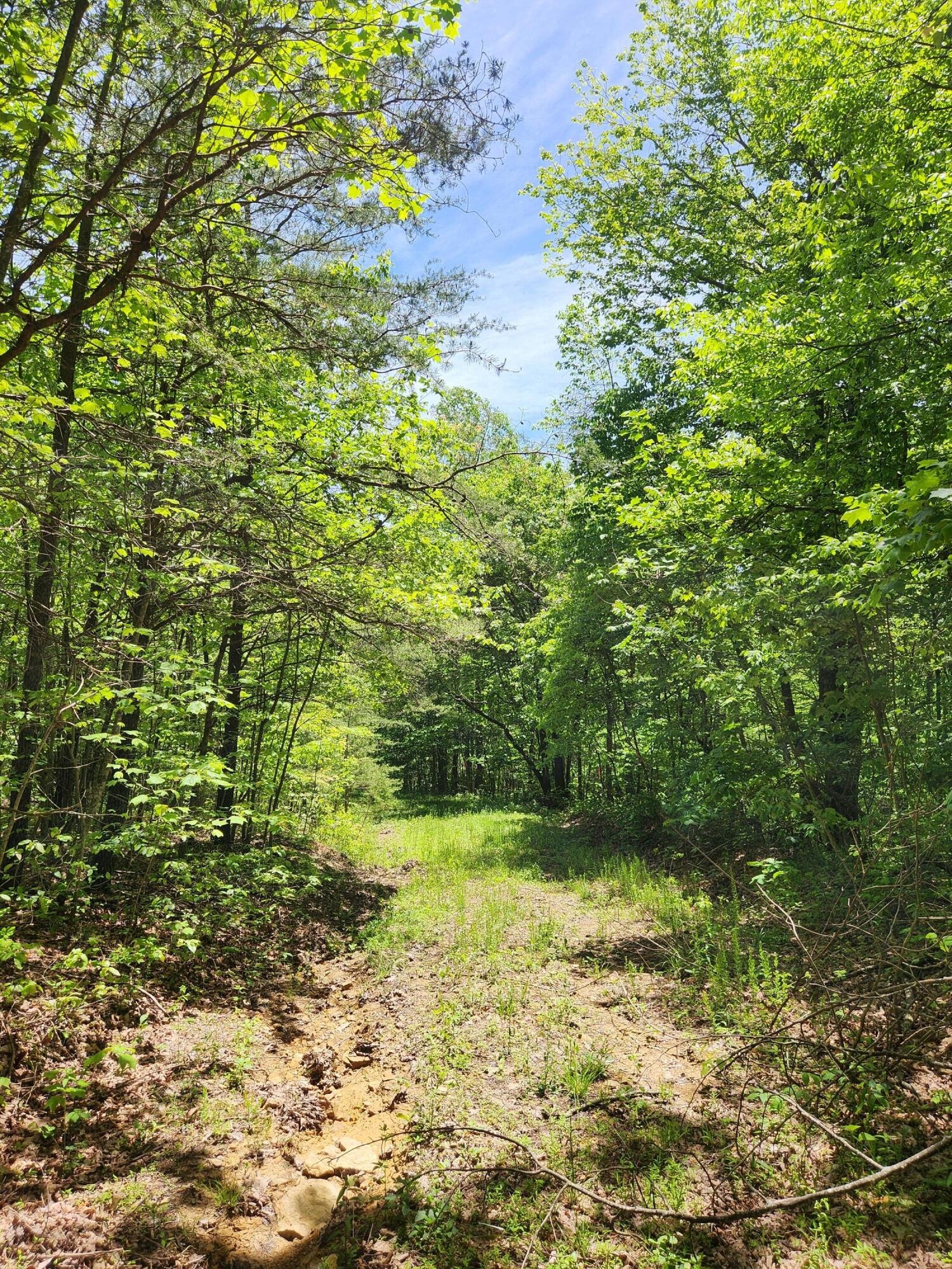 0 Briley Road Spring City, TN 37381 - Photo 10 of 12 Gallery Image 10