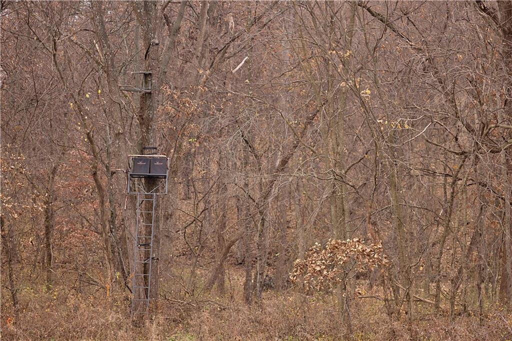 32184 East 237th Street Ridgeway, MO 64481 - Photo 4 of 95