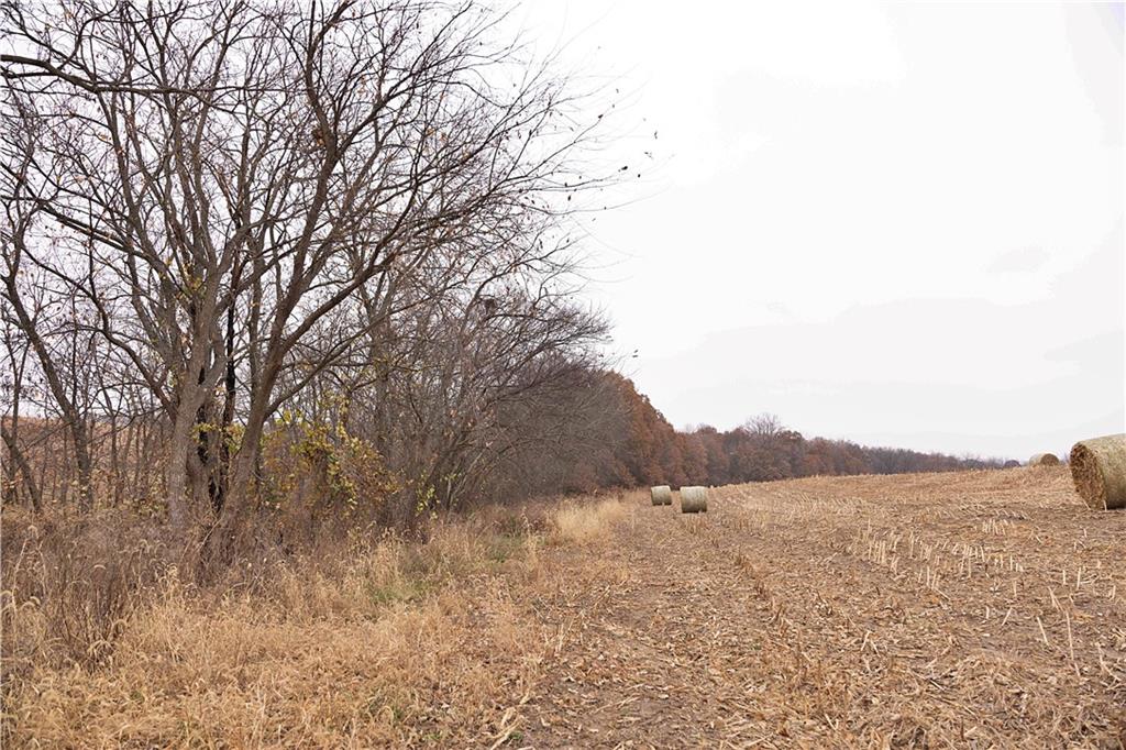 32184 East 237th Street Ridgeway, MO 64481 - Photo 62 of 95