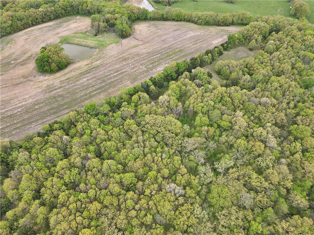 32184 East 237th Street Ridgeway, MO 64481 - Photo 62 of 72
