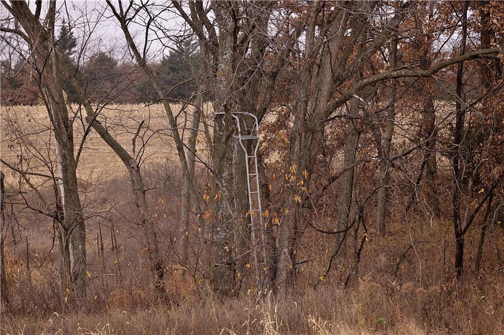 32184 East 237th Street Ridgeway, MO 64481 - Photo 65 of 95