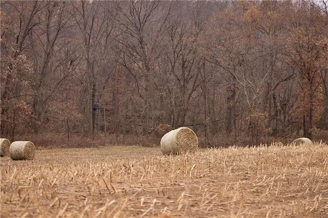 $1,000,000 | 32184 East 237th Street, Ridgeway, MO 64481