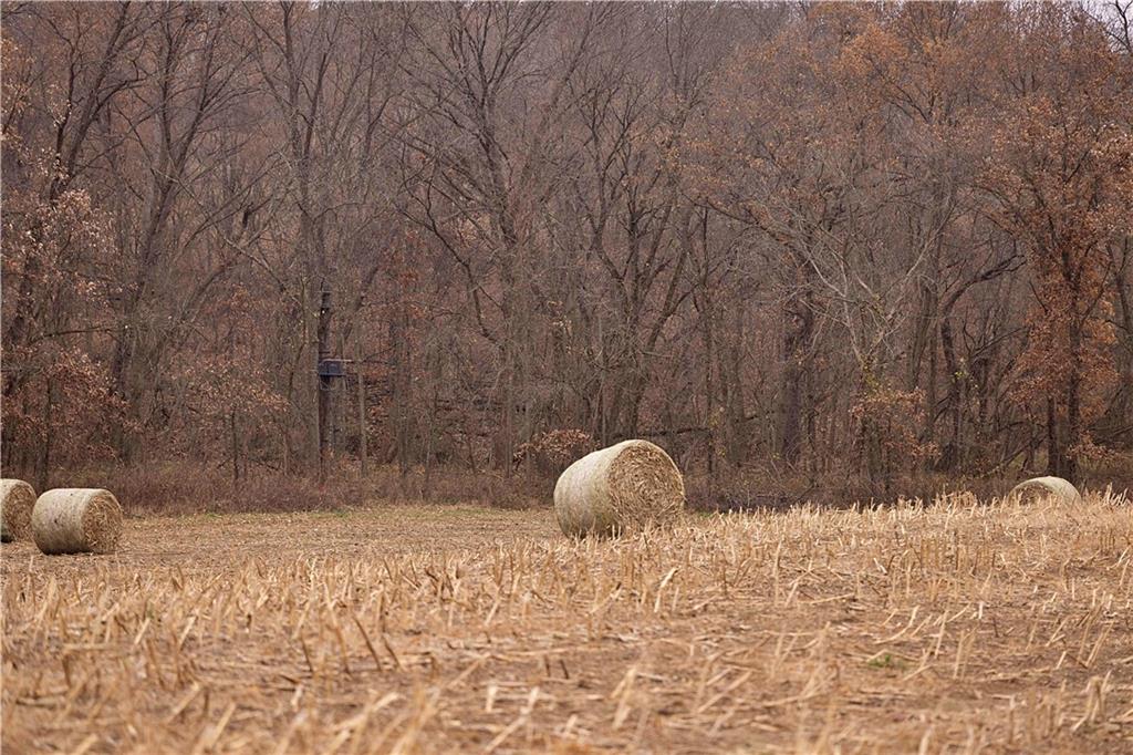 32184 East 237th Street Ridgeway, MO 64481 - Photo 68 of 95