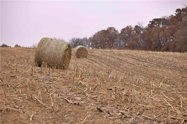 $1,000,000 | 32184 East 237th Street, Ridgeway, MO 64481